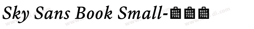 Sky Sans Book Small字体转换